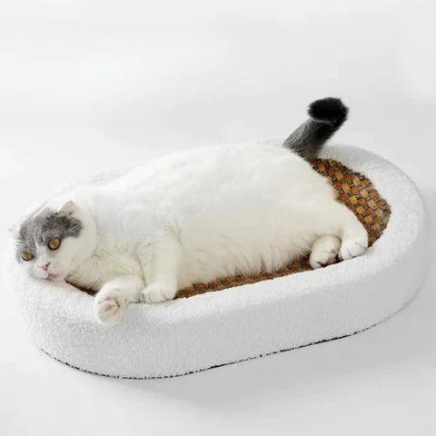 CozyCurl™ | Zeg vaarwel tegen krasschade
