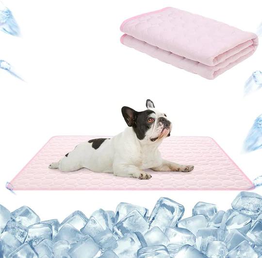 IcyWoof™ | De Beste Zomeroplossing