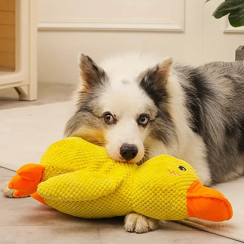 DuckyDazzle™ | Voorkom Verveling en Angst bij Alleen Thuis