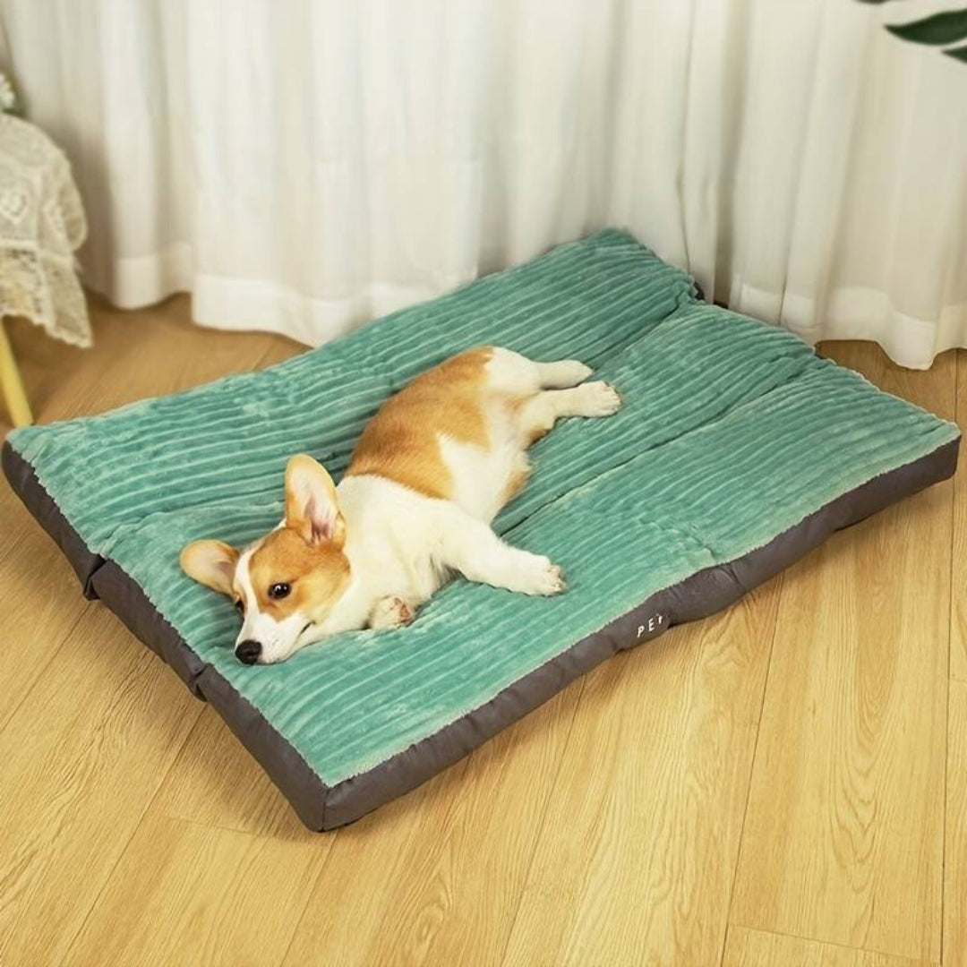 FluffyNest™ | Het Hele Jaar Comfortabel