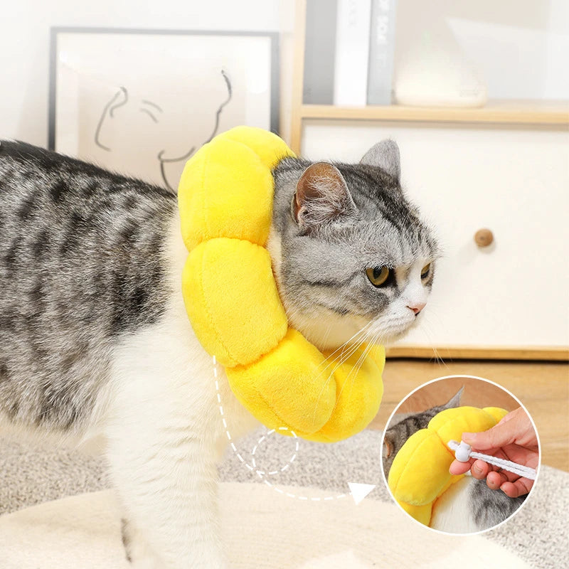 PawBloom™ | Versnel Herstel en Bescherm Tegen Vlooien
