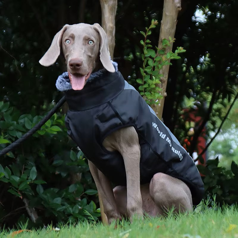 CloudTail™ | Warme Hondenjas met Reflectie