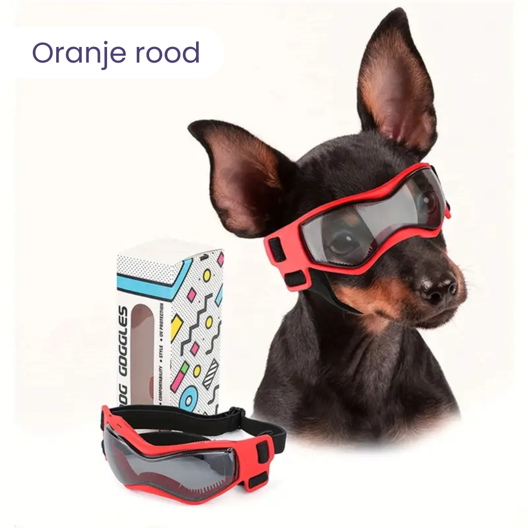 PupVisor™ | Trendy UV-Hondenbril