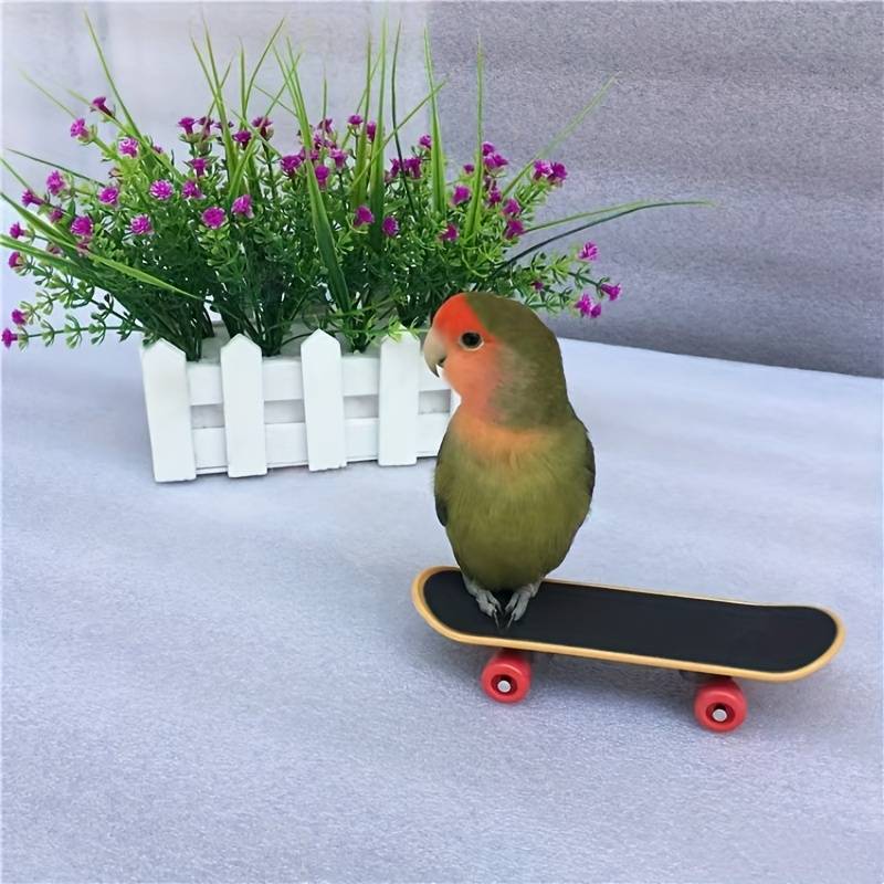 SkateBird™ | Het ultieme skateboard voor vogels