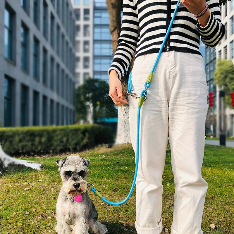 WalkWise™ | Handsfree hondenriem