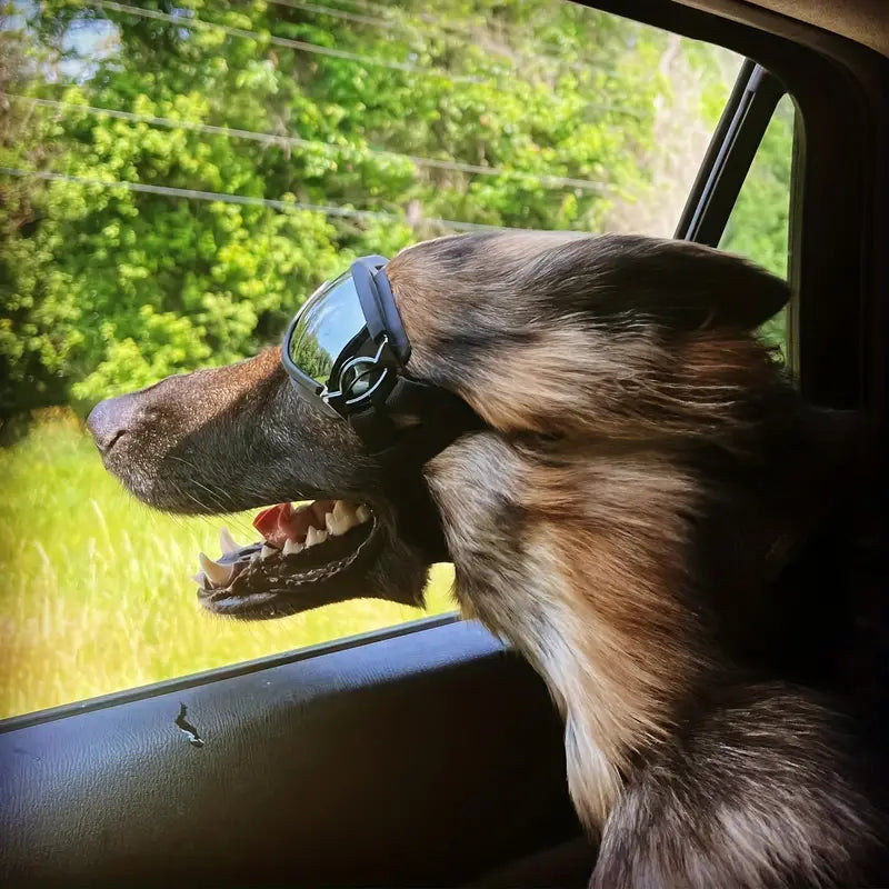 FurrVision™ | UV- en Windbescherming