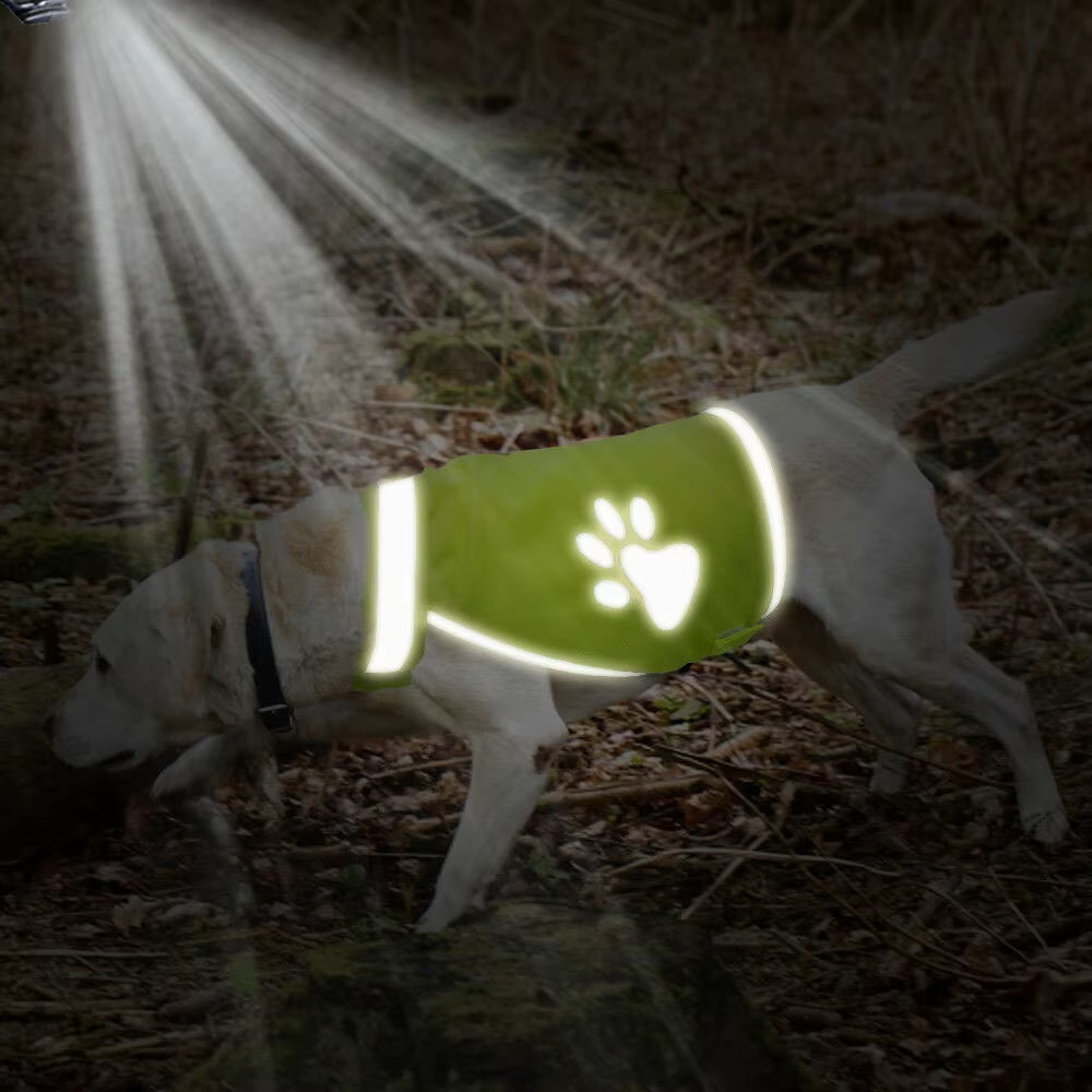PawReflect™ | Nooit Meer Zorgen over je Hond Kwijtraken
