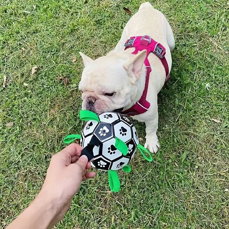 FlapFetch™ | Maakt Honden Blij en Actief