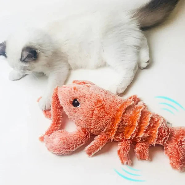 PawLobster™ | Voorkom verveling en houd je hond gelukkig