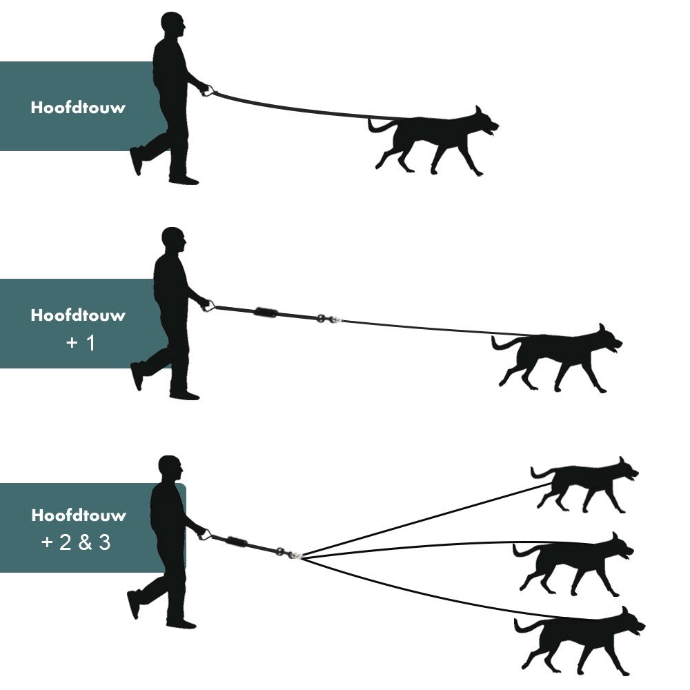 LeashUp™ | Split Riem Voor Drie Honden