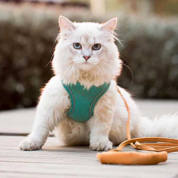 MeowStep™ | Kattenharnas
