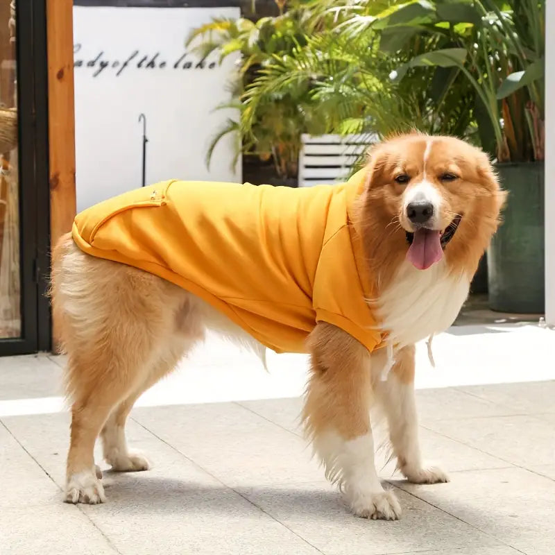 ChillWoof™ Isolerende hoodie voor honden in koud weer