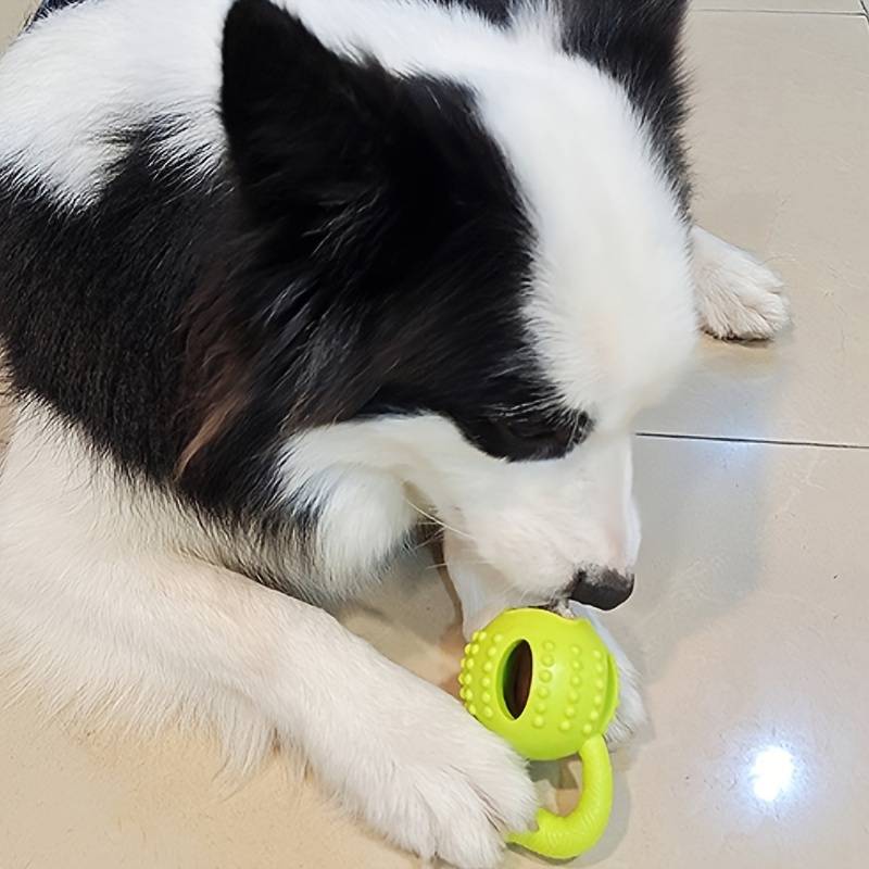 CheesyPaw™ | Huisdier Speelgoed Bal