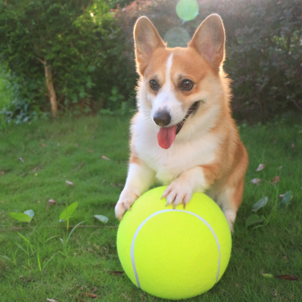 BarkBounce™ | Avontuurlijk Speelplezier