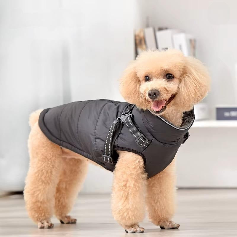 Barkie™ | Nooit meer koude wandelingen
