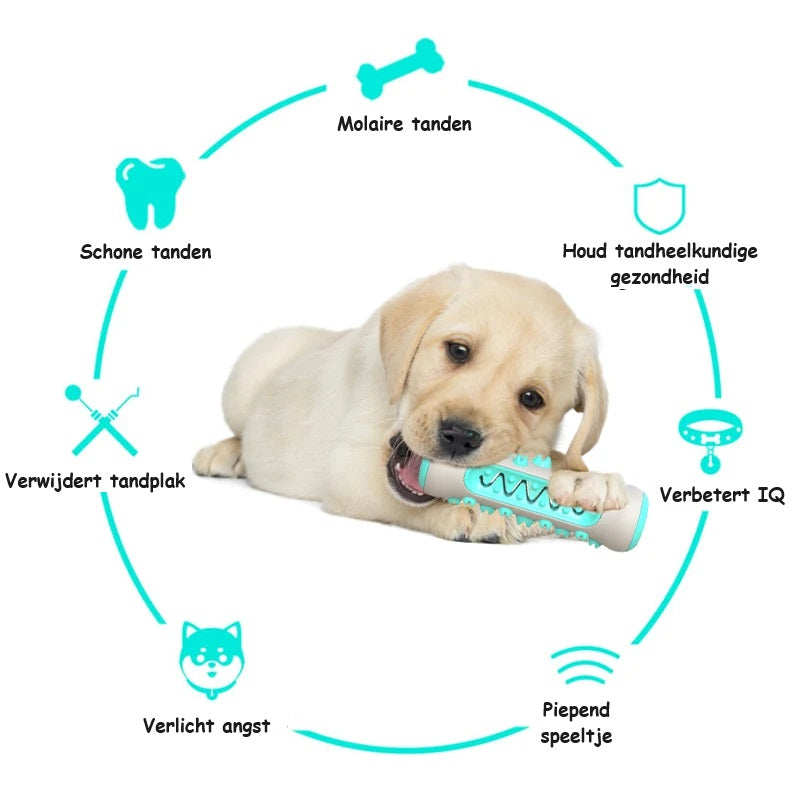 BrushBuddy™ | Gezond Gebit voor Jouw Hond