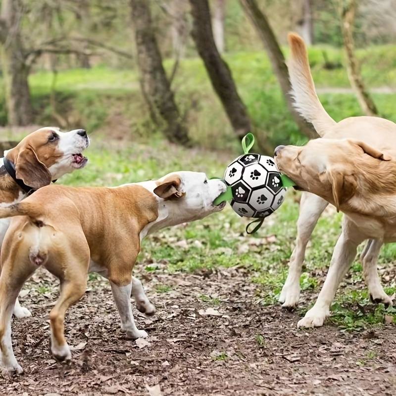 FlapFetch™ | Maakt Honden Blij en Actief