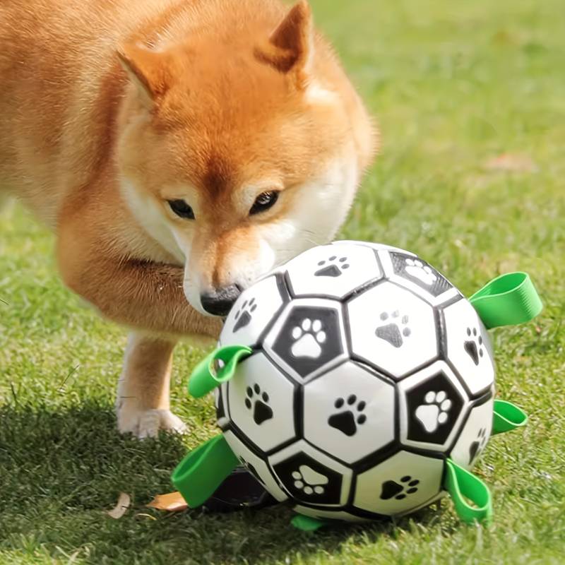 FlapFetch™ | Maakt Honden Blij en Actief