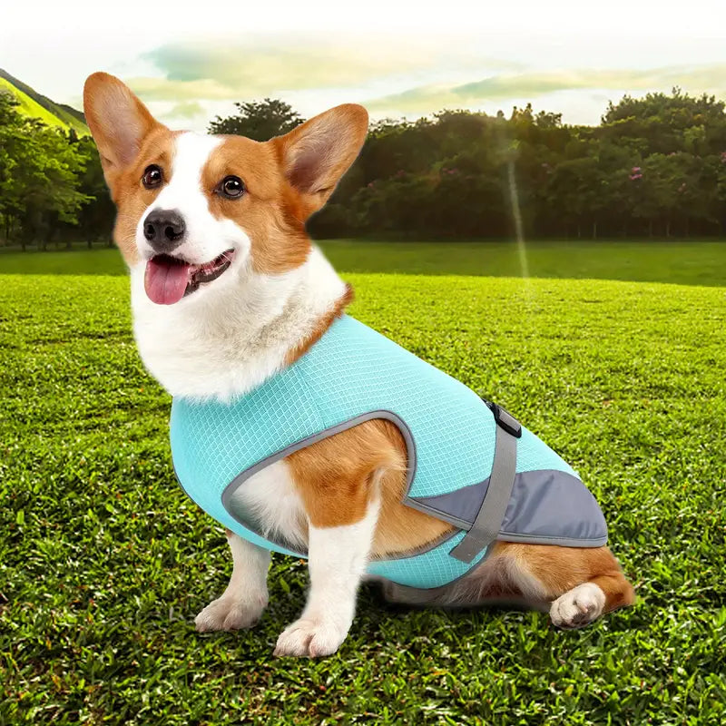 CoolBarker™ | Bescherm je Hond Tegen Hitte