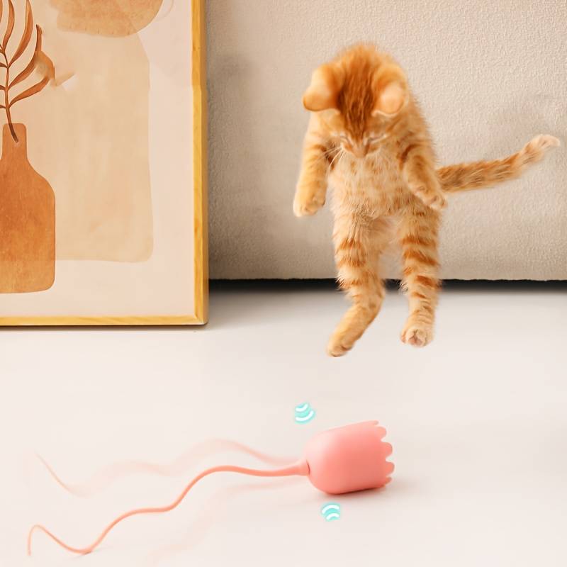 ZephPaws™ | Actief Spelen voor Gelukkige Katten