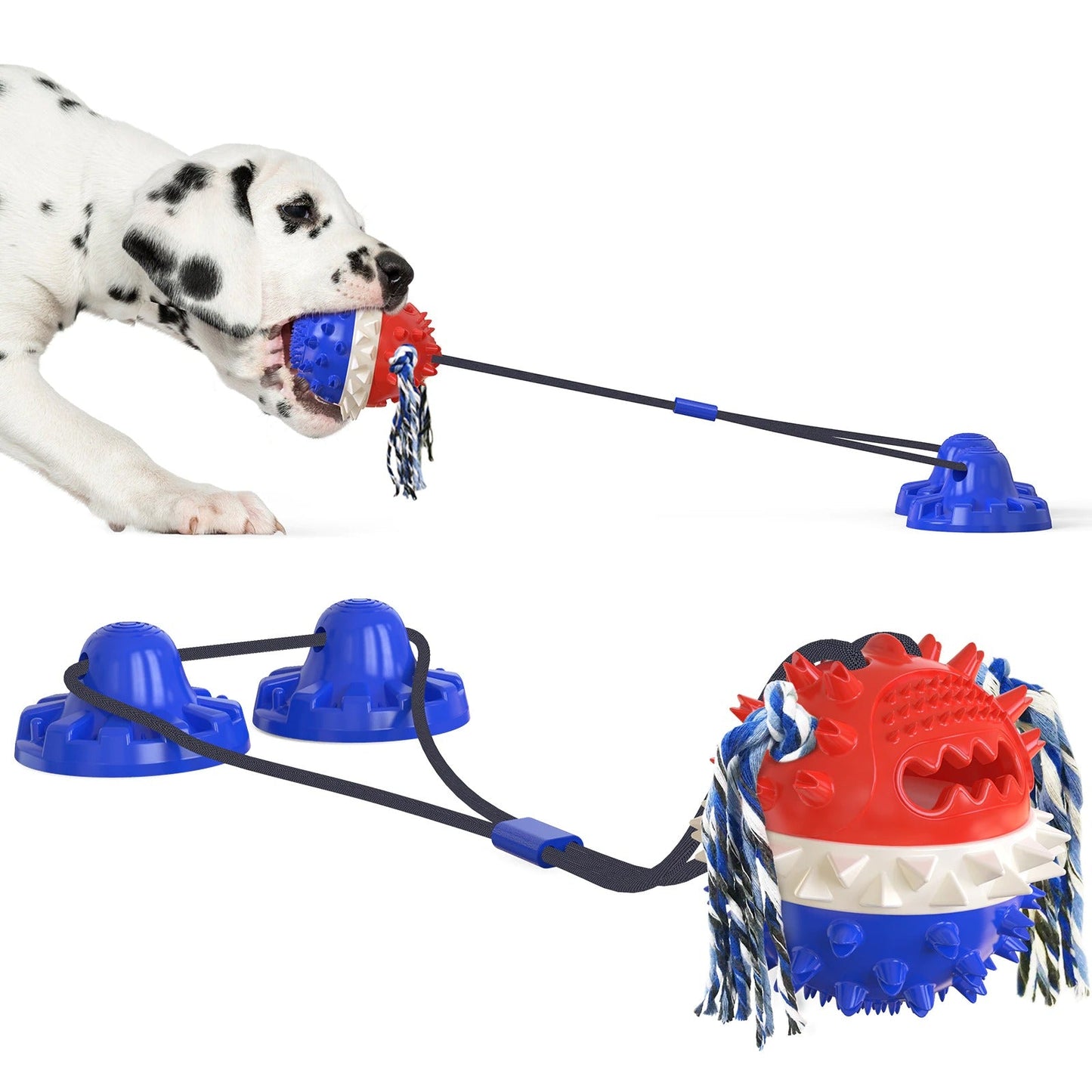 Clawzy™ | Voor Actieve Huisdieren