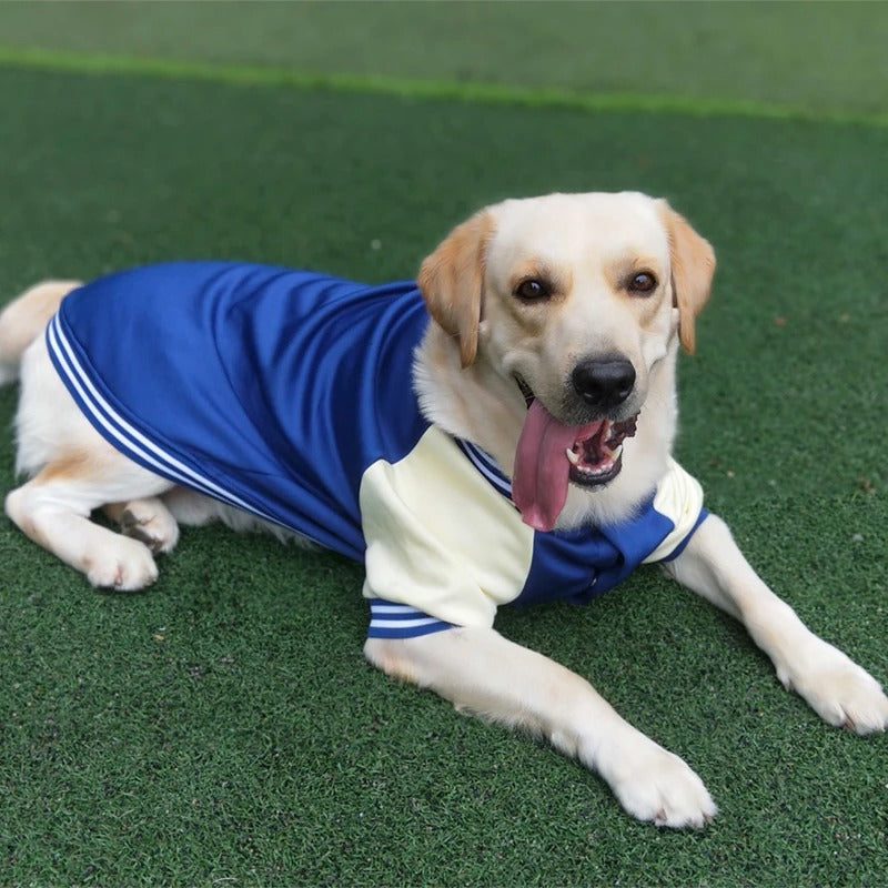 PawBase™ | Houd je Huisdier Altijd Droog en Fris