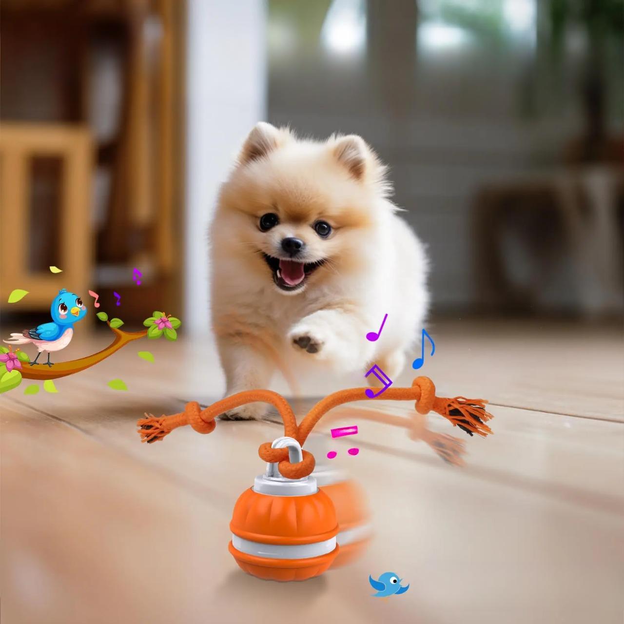 PupPlay™ | Sterk en Langdurig Speelplezier