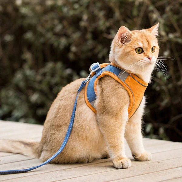 MeowStep™ | Kattenharnas