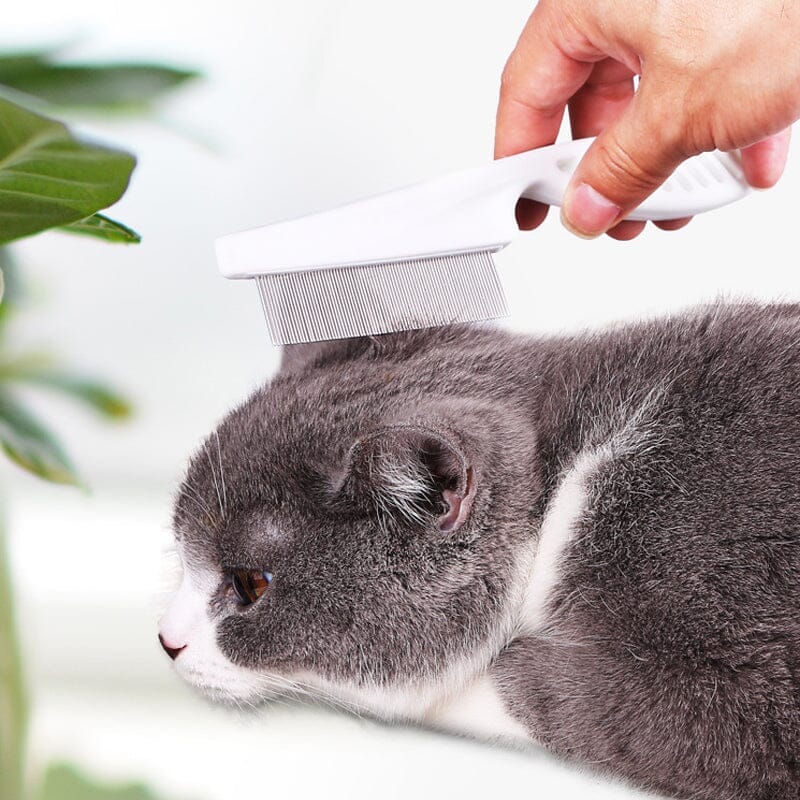 PetalSoft™ | Voor een Gezonde Vacht