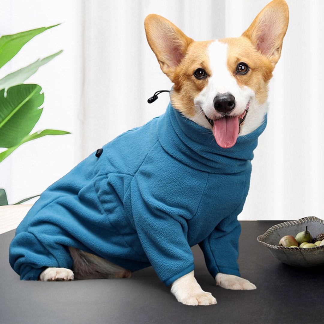 ComfyTail™ | Hondenjumpsuit tegen kou en gewrichtsproblemen