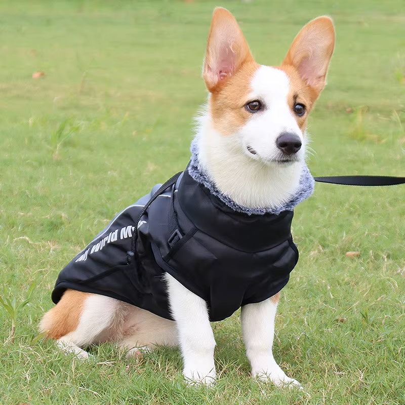 CloudTail™ | Warme Hondenjas met Reflectie