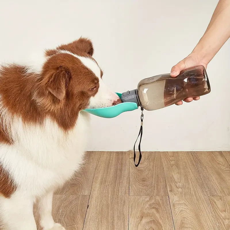 QuikSip™ | Altijd Vers Water voor je Hond