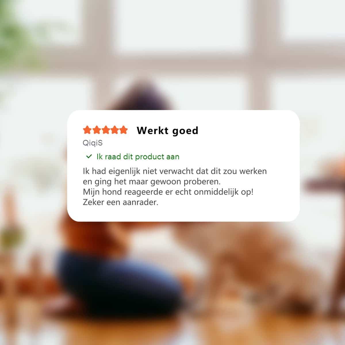 BarkBlitz™ | Met Inbegrepen zaklamp!
