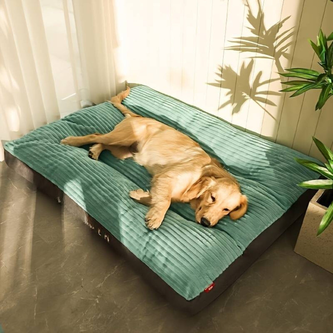 FluffyNest™ | Het Hele Jaar Comfortabel
