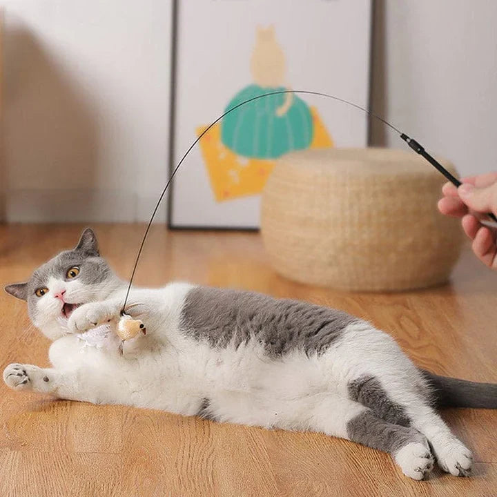 CatCatch™ | Houd je Kat Actief en je Meubels Heel