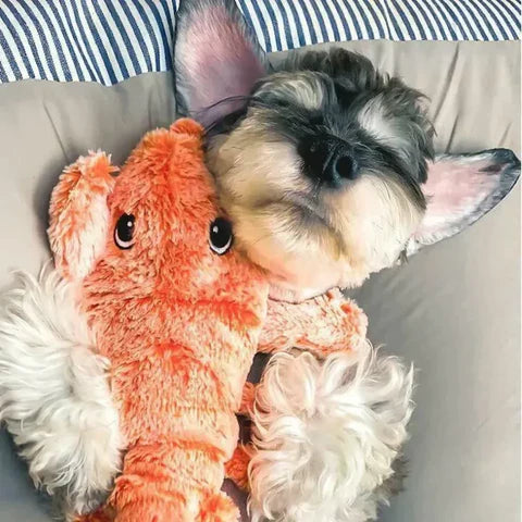 PawLobster™ | Voorkom verveling en houd je hond gelukkig