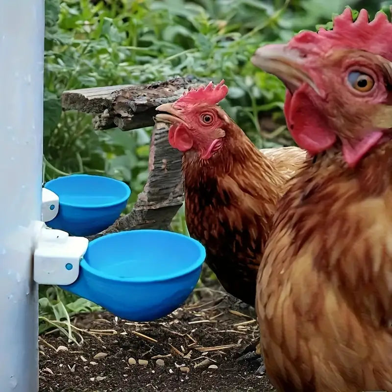 AquaHen™ | Altijd Vers Voor Je Kippen