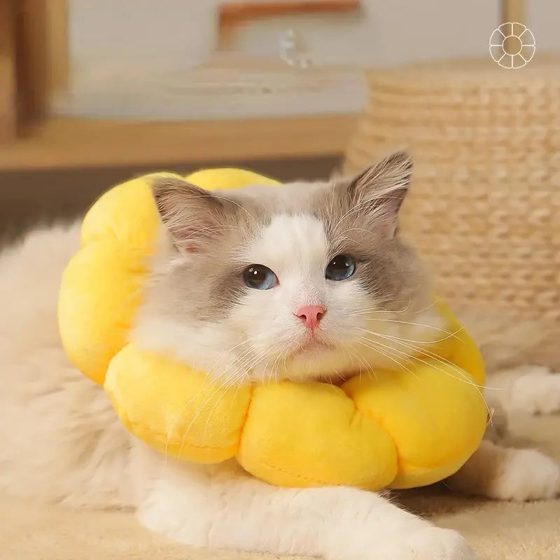 PawBloom™ | Versnel Herstel en Bescherm Tegen Vlooien