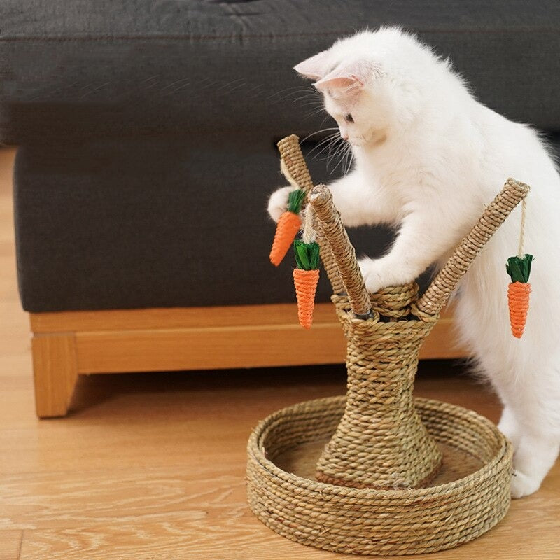 PawPeak™ | De Ultieme Kattenparadijs Krabpaal
