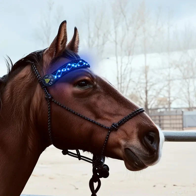 LumaRide™ | Veilige LED-verlichte hoofdriem voor paarden