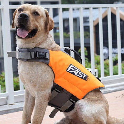 SurfPaws™ | Veilig en Verstelbaar Reddingsvest