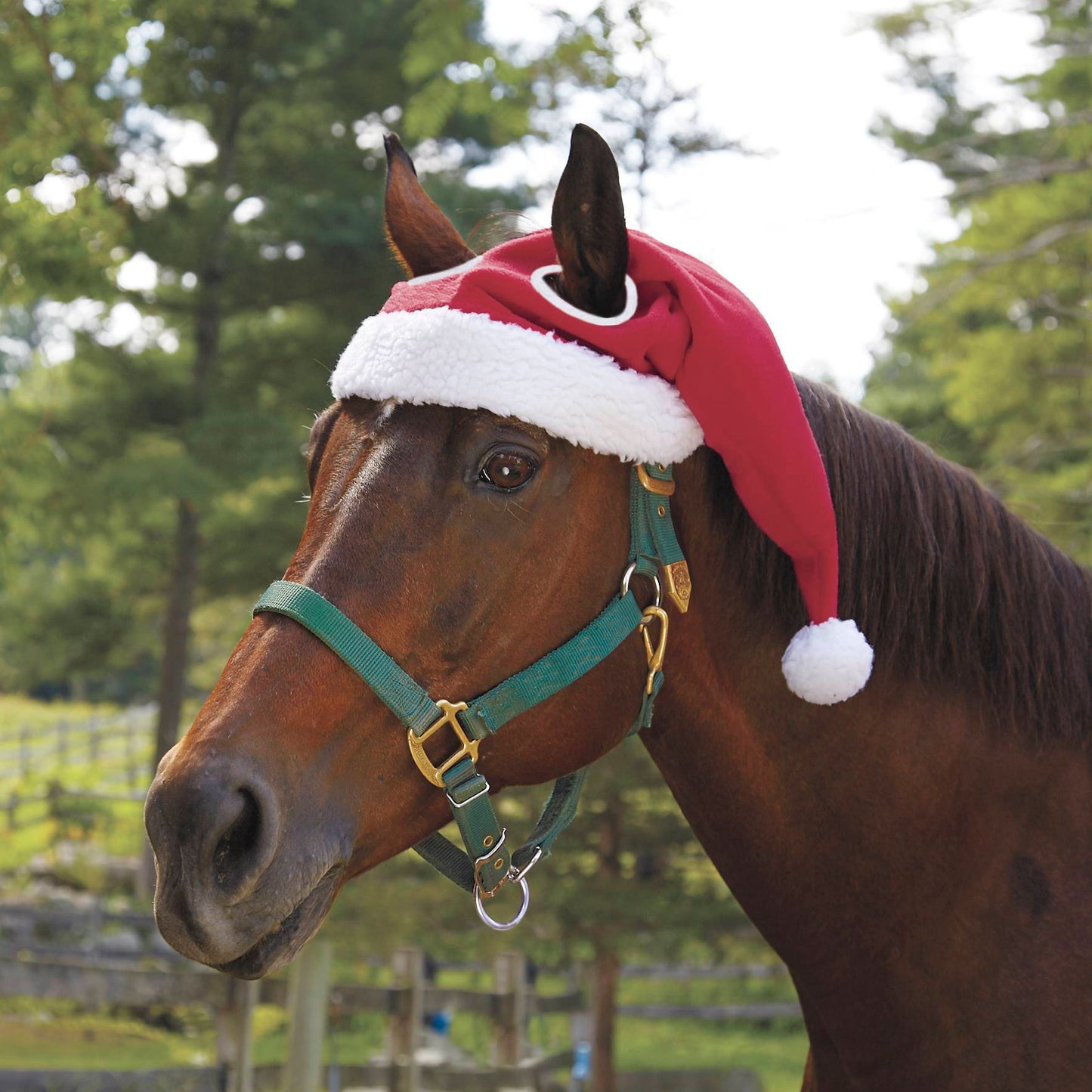 MerryPony™ | Warme kerstmuts om je paard te laten stralen