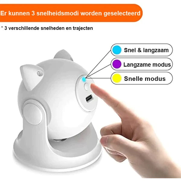 CatZoom™ | De Ultieme Speelervaring