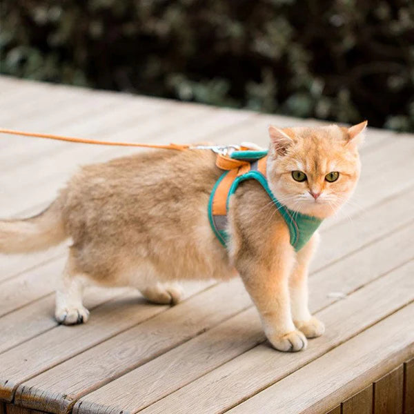 MeowStep™ | Kattenharnas