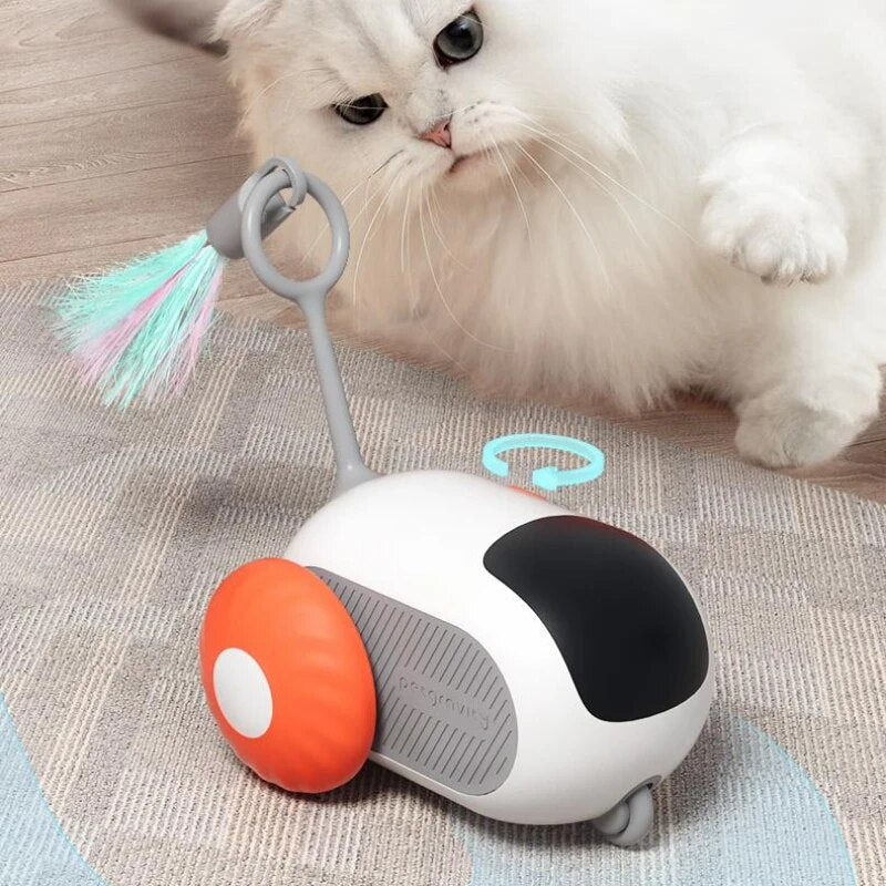 Fizzypaws™ | Eindeloos vermaak voor katten