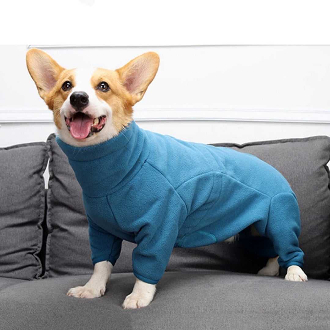 ComfyTail™ | Hondenjumpsuit tegen kou en gewrichtsproblemen