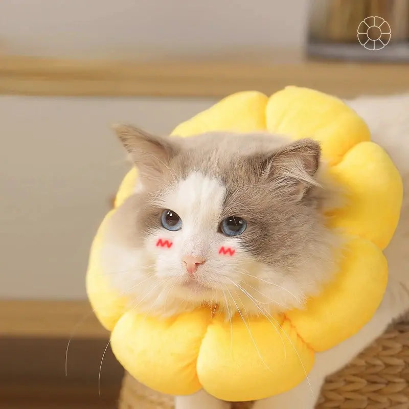 PawBloom™ | Versnel Herstel en Bescherm Tegen Vlooien