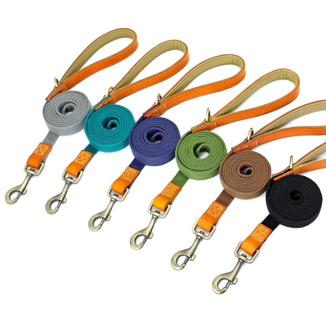 WalkPro™ | Perfecte Controle en Comfort