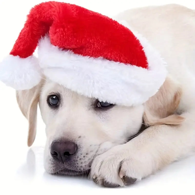 SantaPaws™ | Zachte Kerstmuts voor Warme Kerstmomenten
