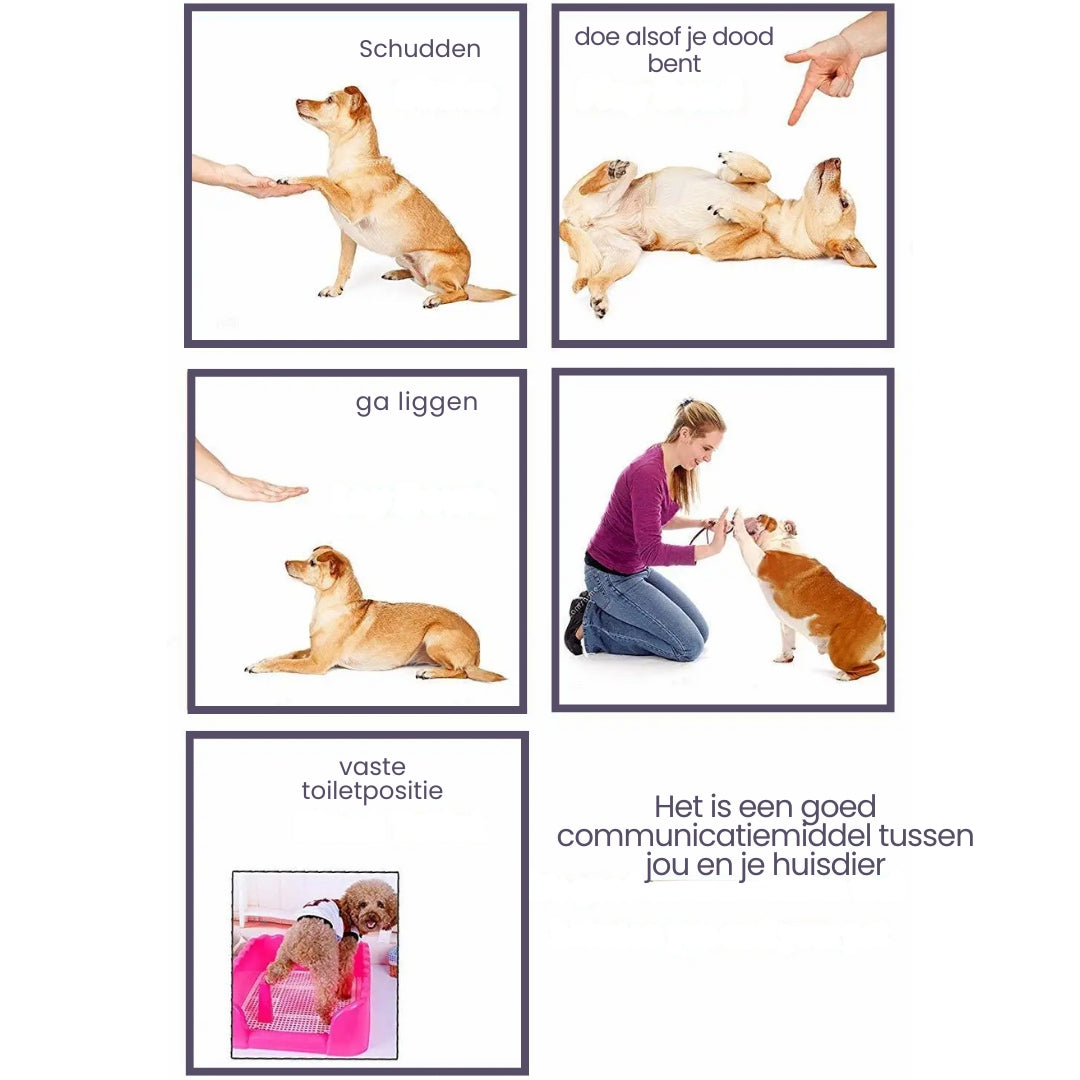 Clickzy™ | Heldere Klik, Snelle Training!